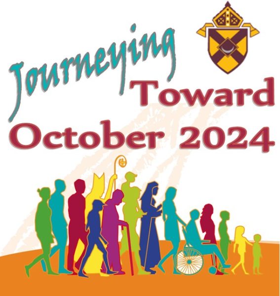 Synod 2021 2024 Roman Catholic Diocese Of Rochester   Interim Stage Dor Logo Eng 567x600 